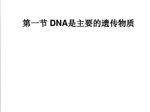 【人教版】生物必修二：3.1《DNA是主要的遗传物质》ppt课件