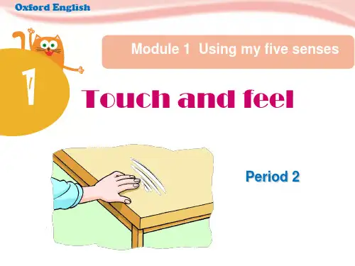 牛津上海版(三起)英语四年级下册Module1U1Touch and feel Period2课件