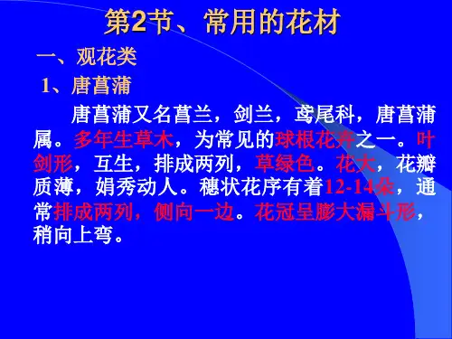 插花常用花材大全
