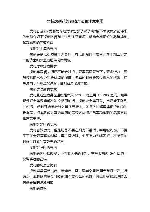 盆栽虎刺花的养殖方法和注意事项