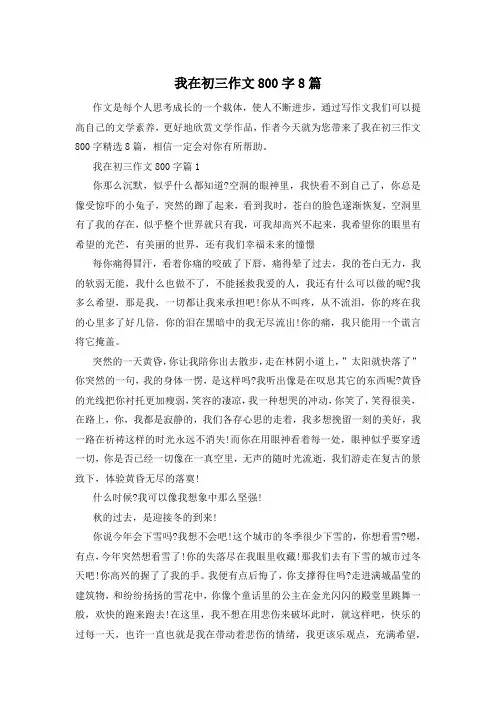 我在初三作文800字8篇