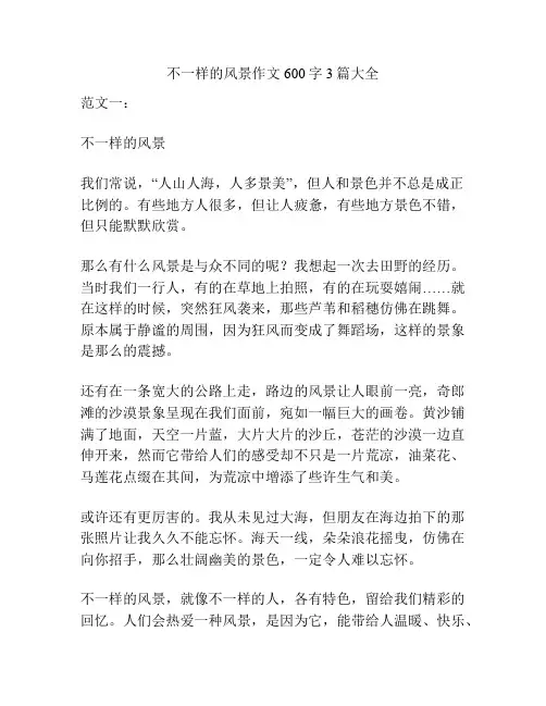 不一样的风景作文600字3篇大全