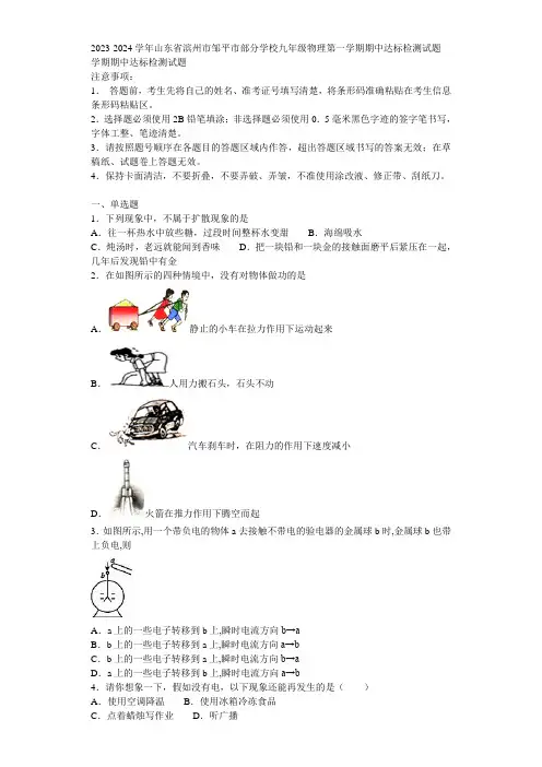 2023-2024学年山东省滨州市邹平市部分学校九年级物理第一学期期中达标检测试题含解析
