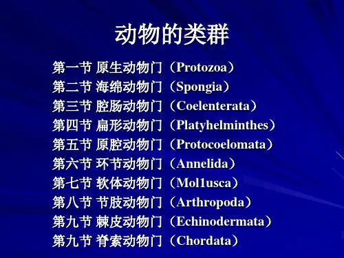 第三章 原生动物讲解