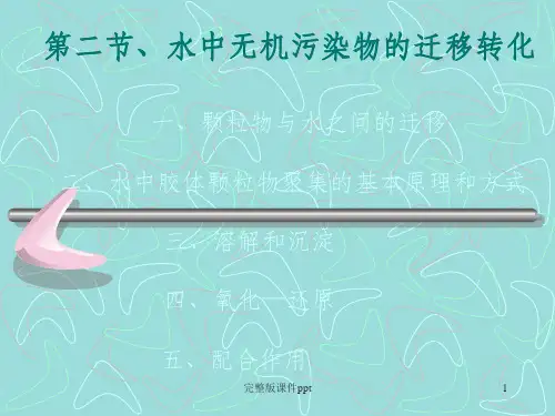《水环境化学》PPT课件 (2)