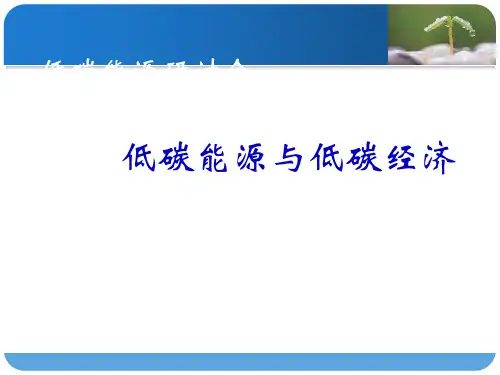 低碳能源与低碳经济_全球碳循环