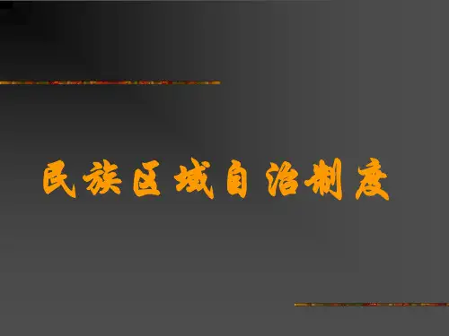 民族区域自治制度正式版