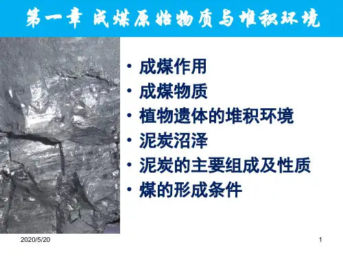 1成煤原始物质与堆积环境详解