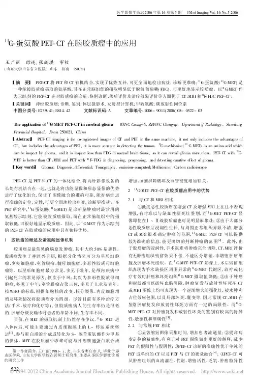 11C-蛋氨酸PETCT在脑胶质瘤中的应用(综述)