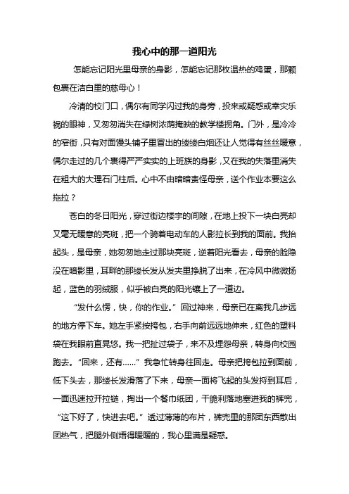 初二作文：我心中的那一道阳光作文800字_1