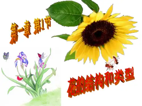 花的结构和类型