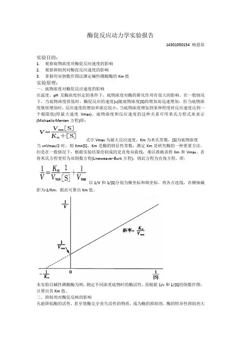 酶促反应动力学实验报告