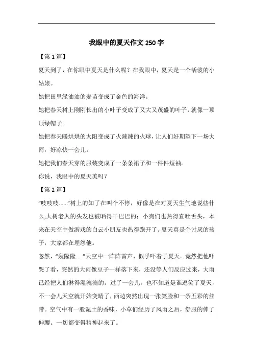 我眼中的夏天作文250字