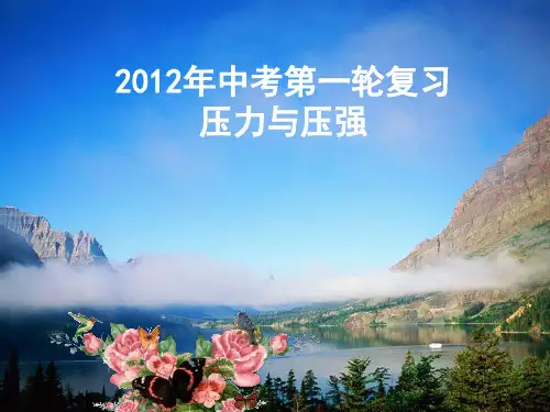 中考物理复习压力与压强PPT课件