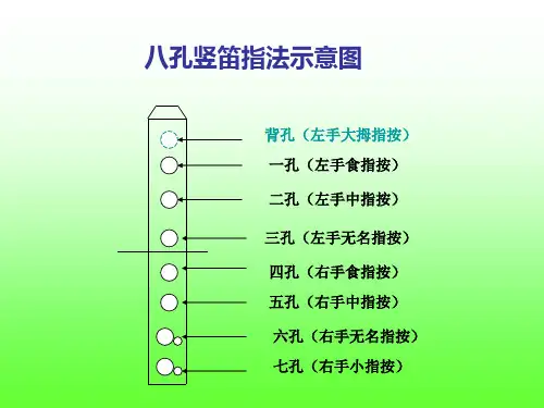 八孔竖笛指法PPT课件