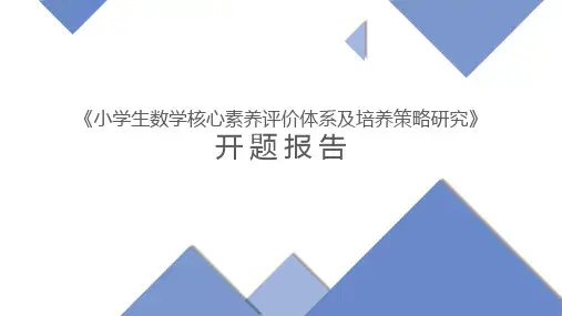 小学生数学核心素养评价体系及培养策略研究开题报告