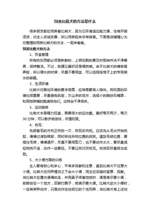 饲养比熊犬的方法是什么