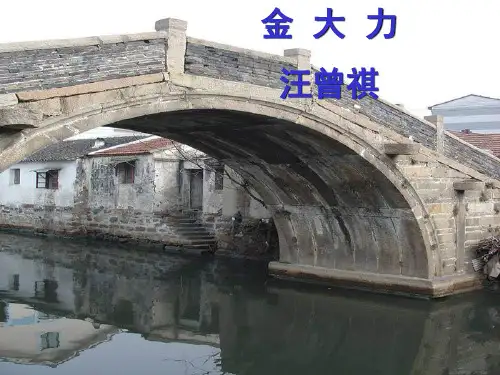 《金大力》ppt课件完美版
