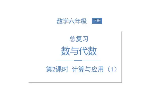 新人教版小学数学《总复习》课件完美版3