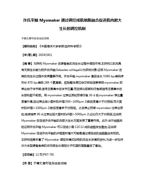 许氏平鲉 Myomaker 通过调控成肌细胞融合促进肌肉肥大生长的调控机制