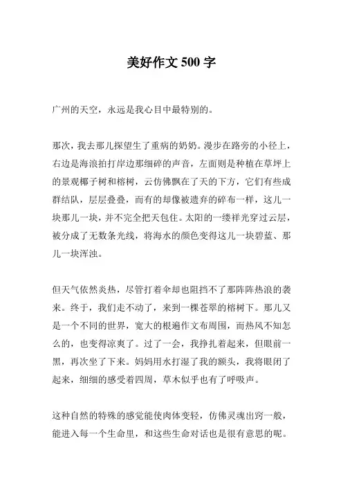美好作文500字