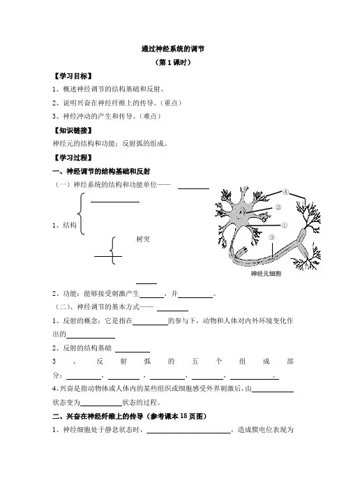 高中生物必修三学案2.1通过神经系统的调节