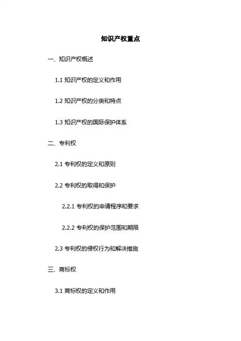 知识产权重点