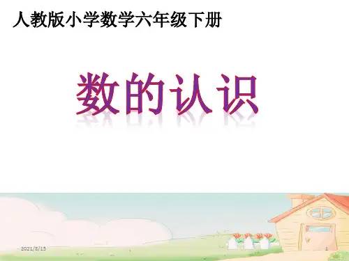 (赛课课件)六年级下册数学《数的认识》(共16张PPT)