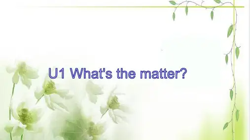 人教版八年级下册Unit1复习课件