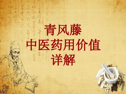 中药学_青风藤_药材详解课件模板