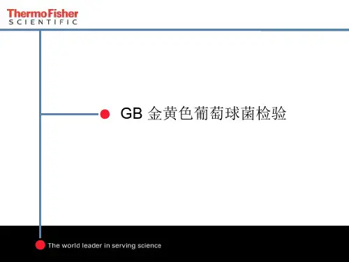 GB金黄色葡萄球菌检验