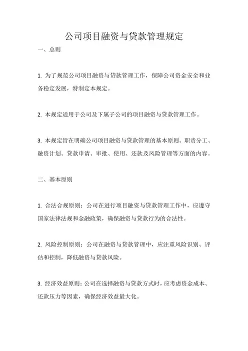 公司项目融资与贷款管理规定 