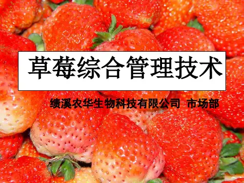 草莓管理及病虫害防治