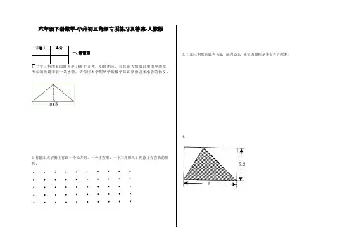 六年级下册数学-小升初三角形专项练习及答案-a15-人教版
