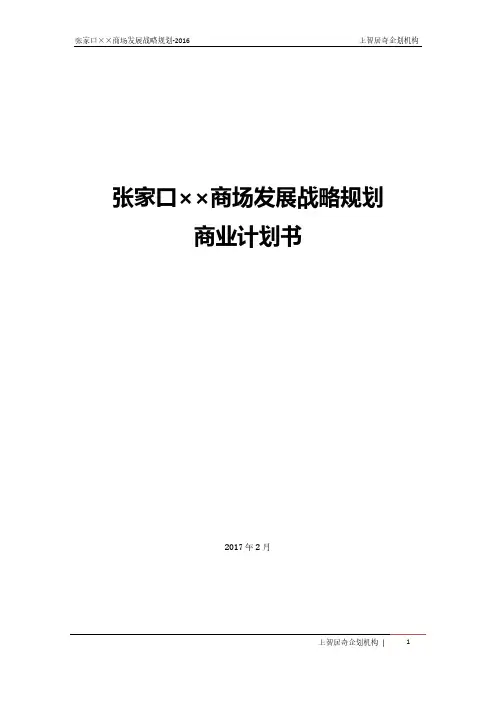 张家口商场发展战略规划-2016年