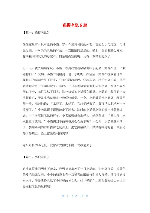 猫捉老鼠5篇