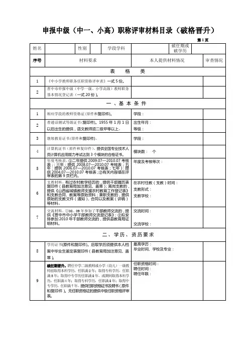 中级用表2(破格晋升教师)