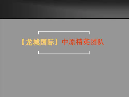 中原地产龙岗中心城岗宏项目营销推广报告