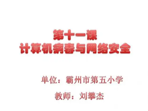 十一  计算机病毒与网络安全