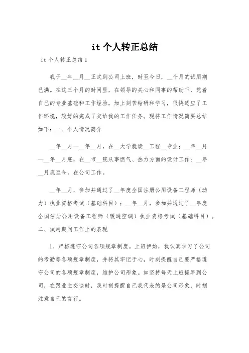 it个人转正总结
