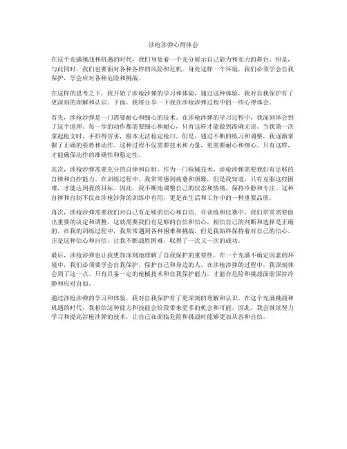 涉枪涉弹心得体会