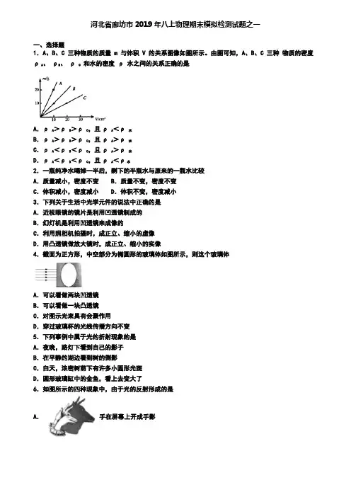 河北省廊坊市2019年八上物理期末模拟检测试题之一
