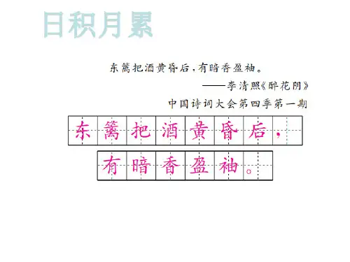 2020春人教版九年级语文下册课件：4 海燕 (共19张PPT)