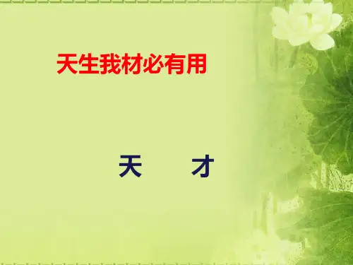 中考语文专题复习_古诗词赏析课件(共23张PPT)