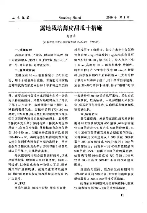 露地栽培薄皮甜瓜十措施