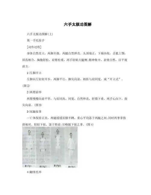 六手太极功图解
