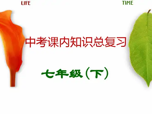 中考语文课内知识总复习 七级下册优秀课件(147页)人教新课标