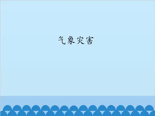 高中地理新人教版必修第一册课件6.1气象灾害(共46张PPT)
