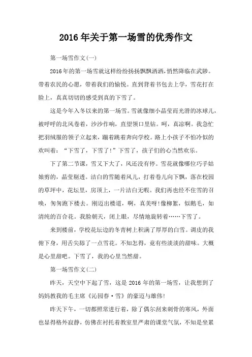 2016年关于第一场雪的优秀作文