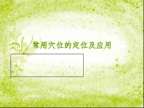 常用穴位定位及应用